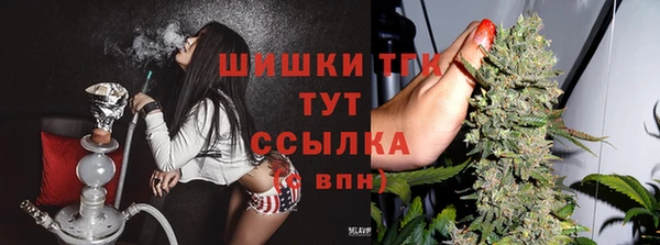 бошки Балахна