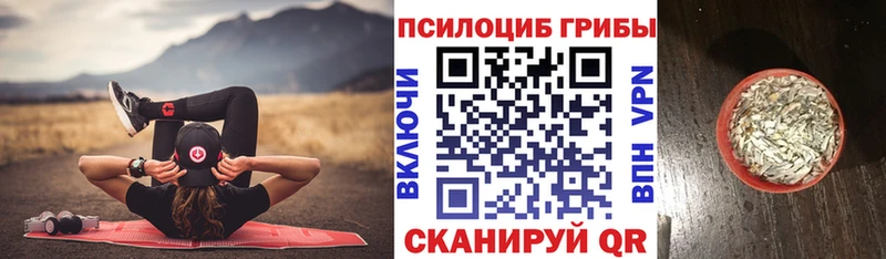 Галлюциногенные грибы Magic Shrooms  Купить закладки  Полярный 
